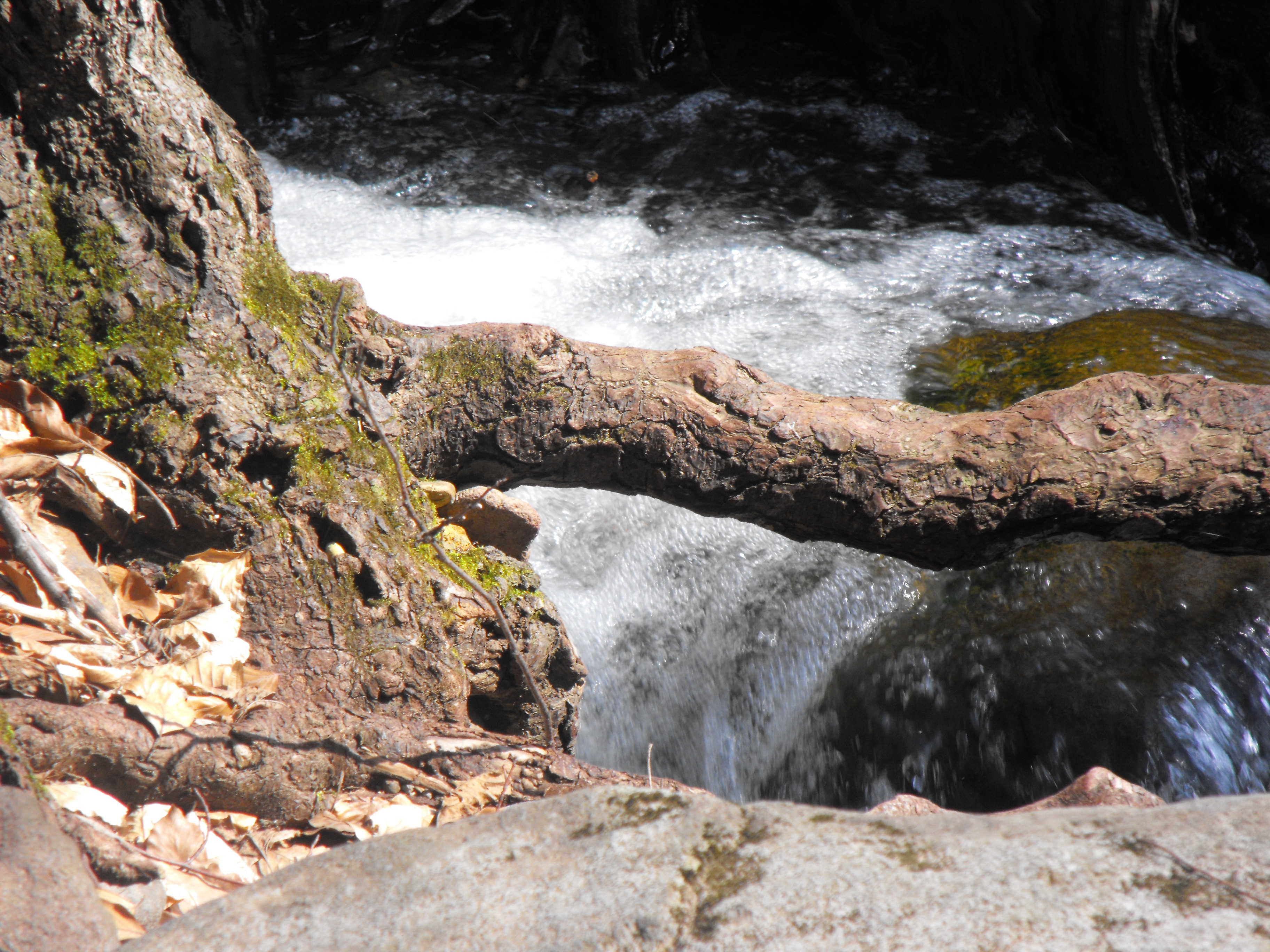 DSCF0213.JPG